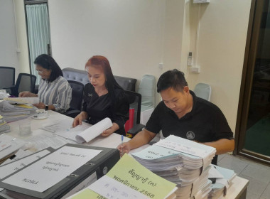 เข้าตรวจสอบกิจการและฐานะการเงิน ... พารามิเตอร์รูปภาพ 2