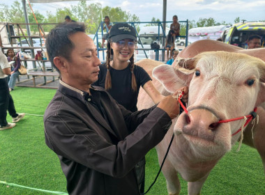 ร่วมเป็นเกียรติในกิจกรรมการประกวดฟ้อนรำสู่ขวัญควาย Buffalo ... พารามิเตอร์รูปภาพ 7