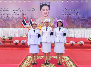 พิธีถวายเครื่องราชสักการะและวางพานพุ่ม ... พารามิเตอร์รูปภาพ 7