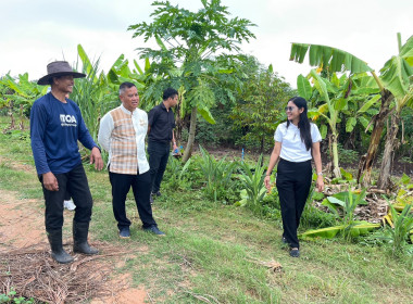 ลงพื้นที่ตรวจเยี่ยมแปลงเกษตรผสมผสานเศรษฐกิจพอเพียง พารามิเตอร์รูปภาพ 2