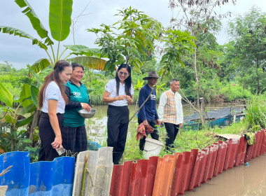 ลงพื้นที่ตรวจเยี่ยมแปลงเกษตรผสมผสานเศรษฐกิจพอเพียง พารามิเตอร์รูปภาพ 4
