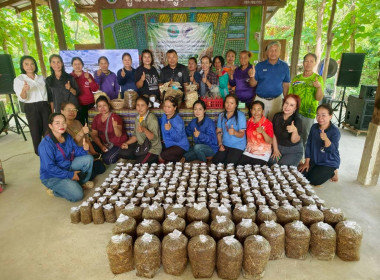 โครงการประชุมเชิงปฏิบัติการสร้างผลิตภัณฑ์ใหม่จากการจัดการวัสดุเหลือใช้ทางการเกษตรหรือผลพลอยได้ ... พารามิเตอร์รูปภาพ 11