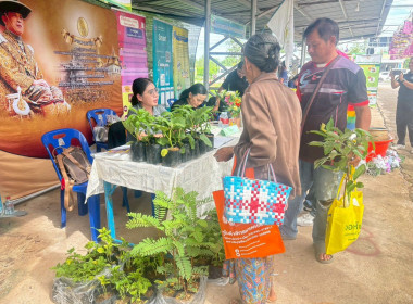 โครงการคลินิกเกษตรเคลื่อนที่ในพระราชานุเคราะห์ ... พารามิเตอร์รูปภาพ 3