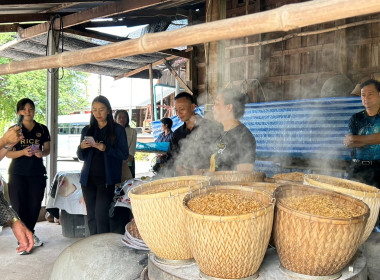 โครงการส่งเสริมและพัฒนาข้าวคุณภาพสูงเพื่อเพิ่มรายได้เกษตรกร ... พารามิเตอร์รูปภาพ 3