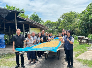 โครงการส่งเสริมและพัฒนาข้าวคุณภาพสูงเพื่อเพิ่มรายได้เกษตรกร ... พารามิเตอร์รูปภาพ 5