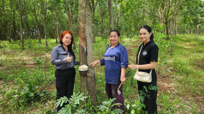 ลงพื้นที่ติดตามและตรวจสอบเอกสารประกอบการพิจารณาเกษตรกรดีเด่นและพื้นที่ต้นแบบดีเด่น ฯ ... พารามิเตอร์รูปภาพ 1