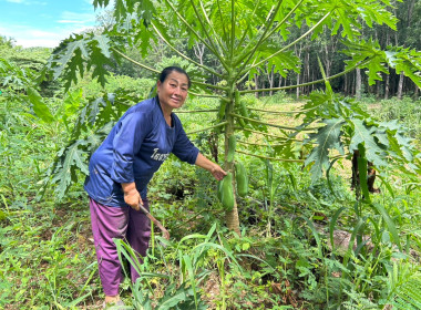 ลงพื้นที่ติดตามและตรวจสอบเอกสารประกอบการพิจารณาเกษตรกรดีเด่นและพื้นที่ต้นแบบดีเด่น ฯ ... พารามิเตอร์รูปภาพ 4