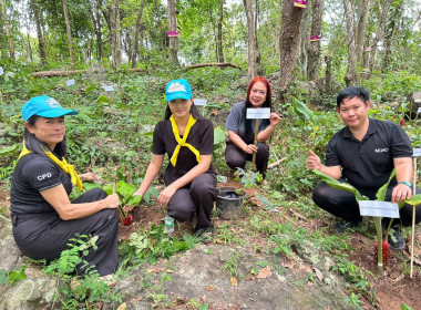 กิจกรรมรวมพลังจิตอาสาปรับปรุงภูมิทัศน์น้ำตกเฒ่าโต้ และปลูกว่านอุษาลำภู ... พารามิเตอร์รูปภาพ 3