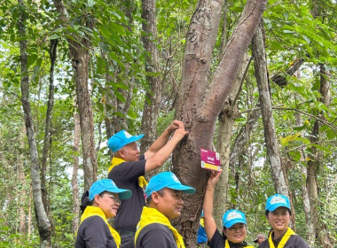 กิจกรรมรวมพลังจิตอาสาปรับปรุงภูมิทัศน์น้ำตกเฒ่าโต้ และปลูกว่านอุษาลำภู ... พารามิเตอร์รูปภาพ 4