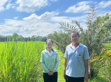 ลงพื้นที่ติดตามการใช้เงินกู้กองทุนสงเคราะห์เกษตรกร พารามิเตอร์รูปภาพ 2