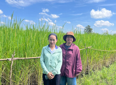ลงพื้นที่ติดตามการใช้เงินกู้กองทุนสงเคราะห์เกษตรกร พารามิเตอร์รูปภาพ 4