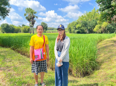 ลงพื้นที่ติดตามการใช้เงินกู้กองทุนสงเคราะห์เกษตรกร พารามิเตอร์รูปภาพ 1