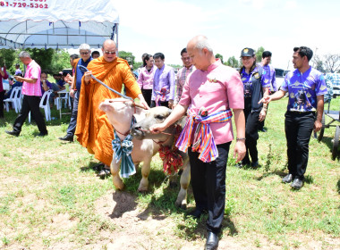 พิธีเปิดโครงการเพิ่มศักยภาพและยกระดับมาตรฐาน ... พารามิเตอร์รูปภาพ 3