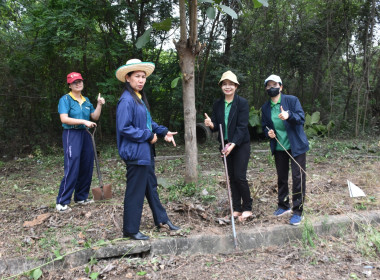 กิจกรรม 5 ส. ... พารามิเตอร์รูปภาพ 3