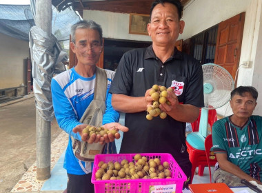 กระจายผลผลิตลำไยของเครือข่ายสหกรณ์ภาคเหนือซึ่งรวบรวมจากสมาชิกสหกรณ์และเกษตรกรในจังหวัดภาคเหนือ ตามนโยบายของกระทรวงเกษตรและสหกรณ์ ... พารามิเตอร์รูปภาพ 10
