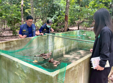 ลงพื้นที่เตรียมความพร้อมสำหรับการติดตามผลการดำเนินงานจากกองพัฒนาสหกรณ์ภาคการเกษตรและกลุ่มเกษตรกร กลุ่มพัฒนากลุ่มเกษตรกร ... พารามิเตอร์รูปภาพ 8
