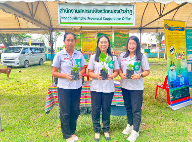 การออกหน่วยบริการตามโครงการ “หน่วยบำบัดทุกข์ บำรุงสุข ... พารามิเตอร์รูปภาพ 5