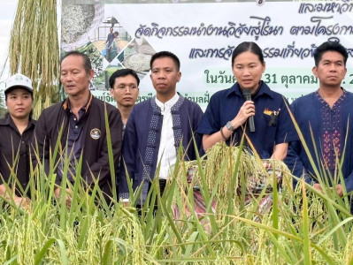 กิจกรรมเกี่ยวข้าวใต้แสงจันทร์ (ข้าวระยะเม่า) พารามิเตอร์รูปภาพ 1