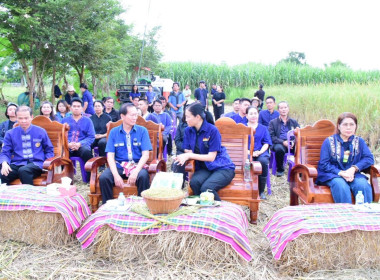 กิจกรรมเกี่ยวข้าวใต้แสงจันทร์ (ข้าวระยะเม่า) พารามิเตอร์รูปภาพ 1