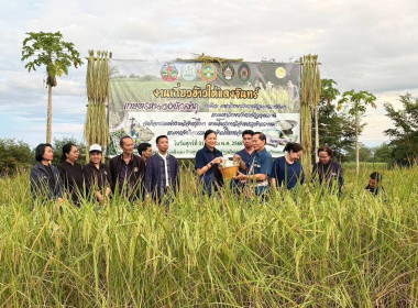 กิจกรรมเกี่ยวข้าวใต้แสงจันทร์ (ข้าวระยะเม่า) พารามิเตอร์รูปภาพ 3