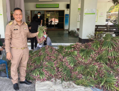รับมอบและกระจายหอมแดงสดจากเกษตรกร จังหวัดศรีสะเกษ ... พารามิเตอร์รูปภาพ 1