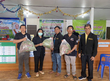 รับมอบและกระจายหอมแดงสดจากเกษตรกร จังหวัดศรีสะเกษ ... พารามิเตอร์รูปภาพ 7