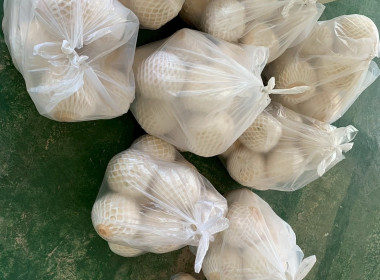 รับมอบมะพร้าวน้ำหอมสดจากสวน บ้านแพ้ว จังหวัดสมุทรสาคร ... พารามิเตอร์รูปภาพ 3