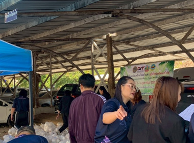 รับมอบมะพร้าวน้ำหอมสดจากสวน บ้านแพ้ว จังหวัดสมุทรสาคร ... พารามิเตอร์รูปภาพ 4