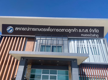 การประกวดราคาก่อสร้างโกดังอเนกประสงค์ ขนาดไม่น้อยกว่า 1,000 ... พารามิเตอร์รูปภาพ 3