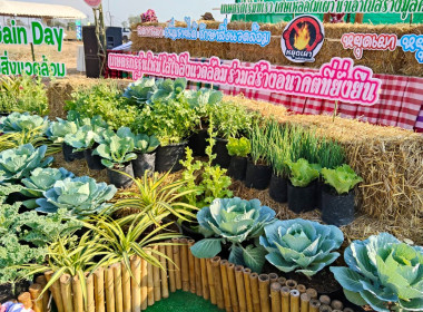 เข้าร่วมงาน GREEN GAIN DAY ... พารามิเตอร์รูปภาพ 8