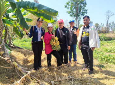 ลงพื้นที่ตรวจเยี่ยมสมาชิกสหกรณ์การเกษตรศรีบุญเรือง จำกัด ... พารามิเตอร์รูปภาพ 1