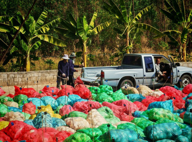 เข้าตรวจสอบกิจการและฐานะทางการเงินของสหกรณ์กองทุนสวนยางโนนสัง จำกัด ... พารามิเตอร์รูปภาพ 2