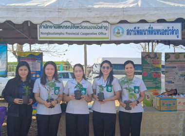 การออกหน่วยบริการตามโครงการ “หน่วยบำบัดทุกข์ บำรุงสุข ... พารามิเตอร์รูปภาพ 1