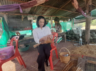 ร่วมบูรณาการกับหน่วยงานสังกัดกระทรวงเกษตรและสหกรณ์ในจังหวัดหนองบัวลำภู เก็บข้อมูลกลุ่มเกษตรกรที่เข้าร่วมโครงการสินค้าเกษตรและบริการมูลค่าสูง 1 ท้องถิ่น 1 สินค้าเกษตรมูลค่าสูง ประจำปีงบประมาณ พ.ศ. 256 ... พารามิเตอร์รูปภาพ 3