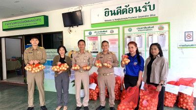 กระจายผลผลิตหอมหัวใหญ่ออกนอกแหล่งผลิตจังหวัดเชียงใหม่สู่ขบวนการสหกรณ์ในพื้นที่จังหวัดหนองบัวลำภู ... พารามิเตอร์รูปภาพ 1