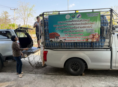 กระจายผลผลิตหอมหัวใหญ่ออกนอกแหล่งผลิตจังหวัดเชียงใหม่สู่ขบวนการสหกรณ์ในพื้นที่จังหวัดหนองบัวลำภู ... พารามิเตอร์รูปภาพ 6