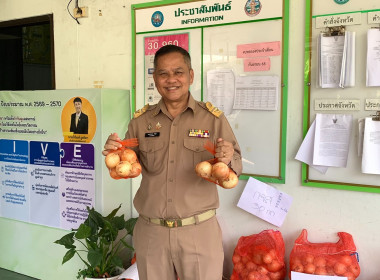 กระจายผลผลิตหอมหัวใหญ่ออกนอกแหล่งผลิตจังหวัดเชียงใหม่สู่ขบวนการสหกรณ์ในพื้นที่จังหวัดหนองบัวลำภู ... พารามิเตอร์รูปภาพ 1