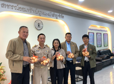 กระจายผลผลิตหอมหัวใหญ่ออกนอกแหล่งผลิตจังหวัดเชียงใหม่สู่ขบวนการสหกรณ์ในพื้นที่จังหวัดหนองบัวลำภู ... พารามิเตอร์รูปภาพ 3