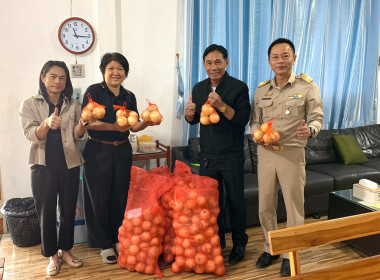 กระจายผลผลิตหอมหัวใหญ่ออกนอกแหล่งผลิตจังหวัดเชียงใหม่สู่ขบวนการสหกรณ์ในพื้นที่จังหวัดหนองบัวลำภู ... พารามิเตอร์รูปภาพ 2