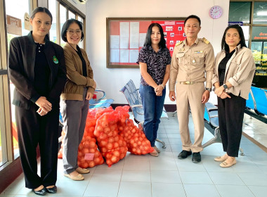 กระจายผลผลิตหอมหัวใหญ่ออกนอกแหล่งผลิตจังหวัดเชียงใหม่สู่ขบวนการสหกรณ์ในพื้นที่จังหวัดหนองบัวลำภู ... พารามิเตอร์รูปภาพ 9