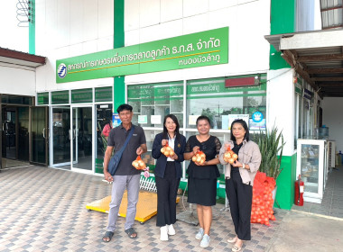 กระจายผลผลิตหอมหัวใหญ่ออกนอกแหล่งผลิตจังหวัดเชียงใหม่สู่ขบวนการสหกรณ์ในพื้นที่จังหวัดหนองบัวลำภู ... พารามิเตอร์รูปภาพ 5