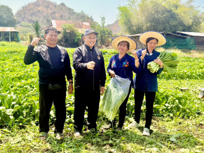 ร่วมจัดทำ VTR ประชาสัมพันธ์ ... พารามิเตอร์รูปภาพ 1