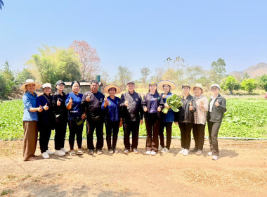 ร่วมจัดทำ VTR ประชาสัมพันธ์ ... พารามิเตอร์รูปภาพ 1