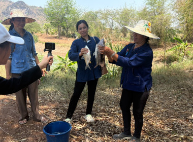 ร่วมจัดทำ VTR ประชาสัมพันธ์ ... พารามิเตอร์รูปภาพ 2