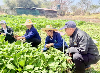 ร่วมจัดทำ VTR ประชาสัมพันธ์ ... พารามิเตอร์รูปภาพ 3