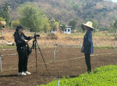 ร่วมจัดทำ VTR ประชาสัมพันธ์ ... พารามิเตอร์รูปภาพ 6