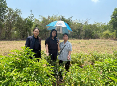 ลงพื้นที่เพื่อติดตามการส่งเสริมและพัฒนาอาชีพ ... พารามิเตอร์รูปภาพ 4