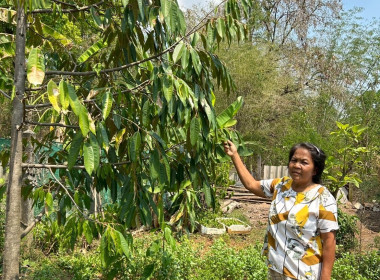 ลงพื้นที่เพื่อติดตามการส่งเสริมและพัฒนาอาชีพ ... พารามิเตอร์รูปภาพ 1
