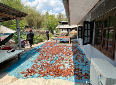 ลงพื้นที่เพื่อติดตามการส่งเสริมและพัฒนาอาชีพ ... พารามิเตอร์รูปภาพ 4