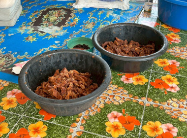 ลงพื้นที่เพื่อติดตามการส่งเสริมและพัฒนาอาชีพ ... พารามิเตอร์รูปภาพ 5